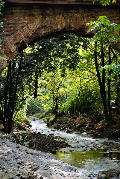 Jesień krajobraz: rzeka w Tbilisi ogród botaniczny — Zdjęcie stockowe