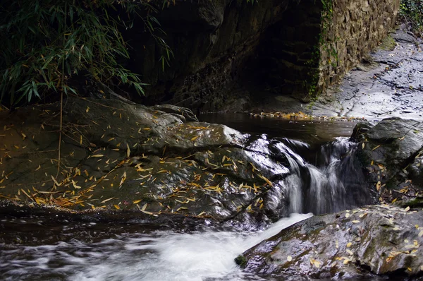 Φθινοπωρινό τοπίο: Ποταμός στην Τιφλίδα ο βοτανικός κήπος — Φωτογραφία Αρχείου
