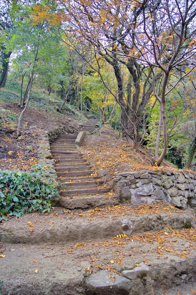 Herfstlandschap: weg in de botanische tuin van Tbilisi — Stockfoto