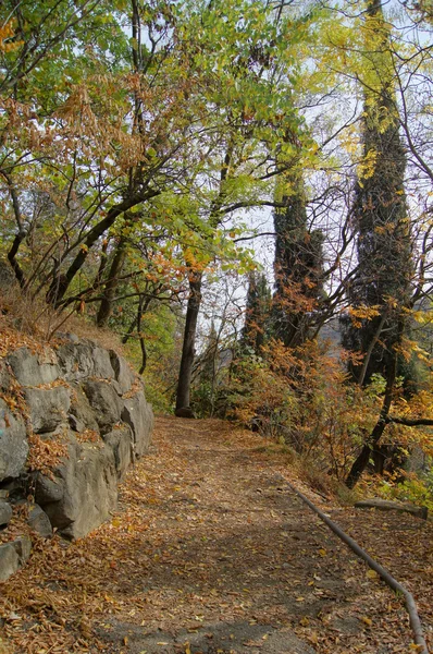 Paisaje otoñal: carretera en el jardín botánico de Tiflis — Foto de Stock