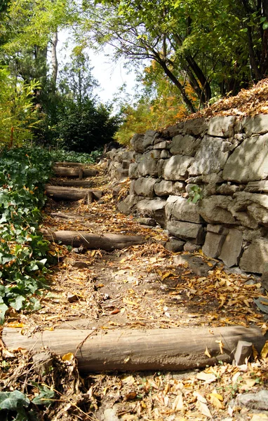 秋の風景:トビリシ植物園の道路 — ストック写真