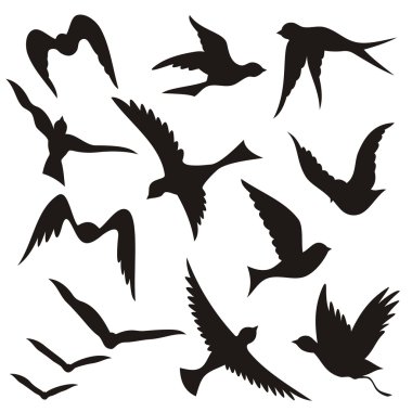 Flying bird silhouettes clipart