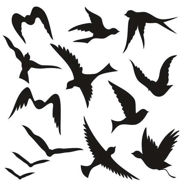 Siluetas de aves voladoras — Vector de stock