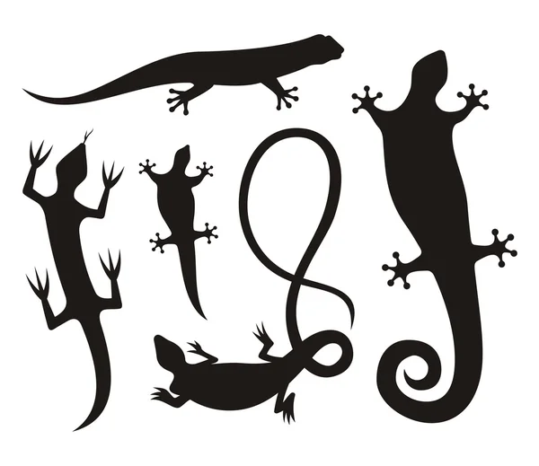 Lizard silhouettes — Stock Vector