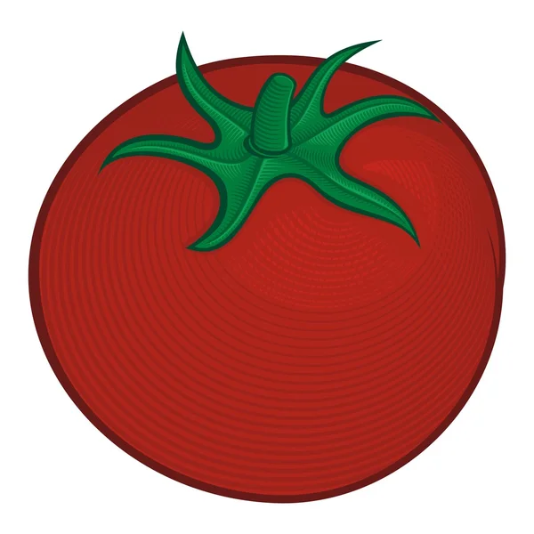 Woodcut tomato — Stock Vector