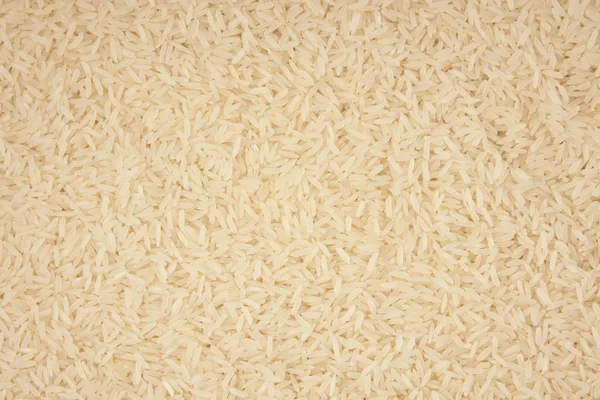 Nahaufnahme von wildem Reis Hintergrund — Stockfoto