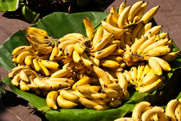 Bananas on a market — Stok fotoğraf