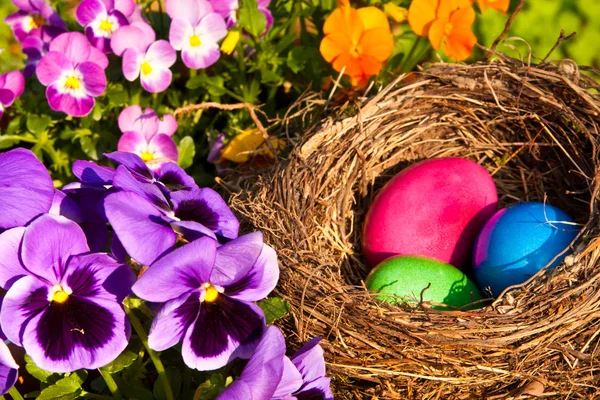 stock image Easter eggs in a nest