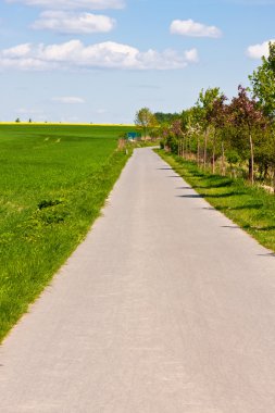 Flaeming-kaymak, brandenburg, Almanya