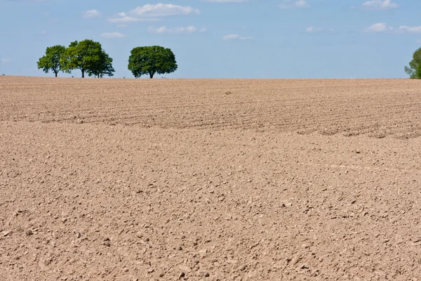 Teren agricol — Fotografie, imagine de stoc