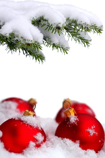 Різдвяна вічнозелена ялина та червона скляна куля — стокове фото