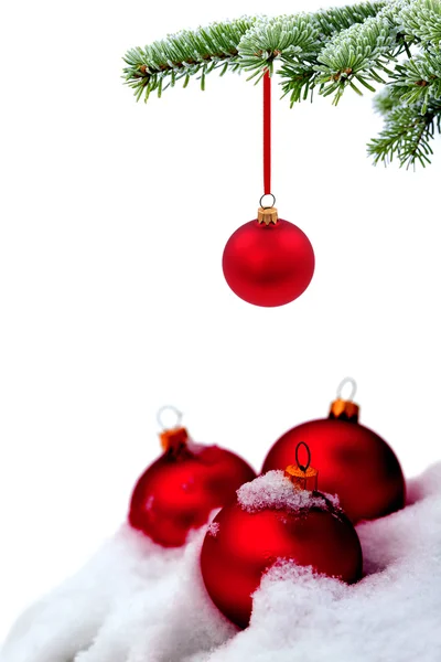 Örökzöld lucfenyő karácsonyfa és a labda piros üveg — Stock Fotó