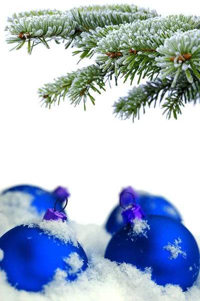 Vánoční stálezelené zapřáhnu a modrá skleněná koule — Stock fotografie
