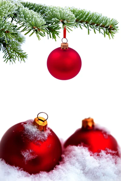常緑のトウヒ木をクリスマスと赤のガラス玉 — ストック写真