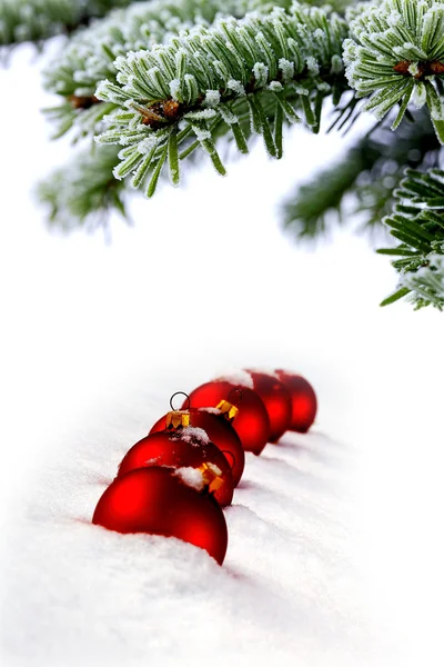 Kerstboom groenblijvende vuren en rood glazen bal — Stockfoto