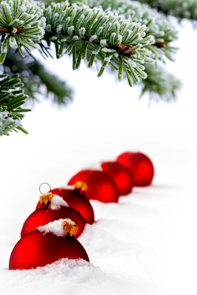 Albero di abete rosso sempreverde di Natale e palla di vetro rosso — Foto Stock