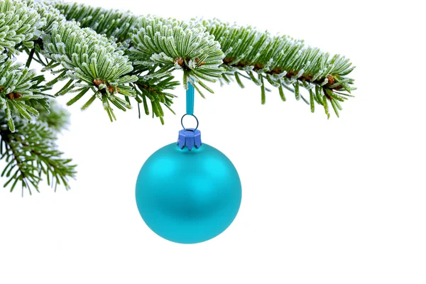 Vánoční stálezelené zapřáhnu a modrá skleněná koule — Stock fotografie