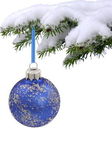 Vánoční stálezelené zapřáhnu a modrá skleněná koule