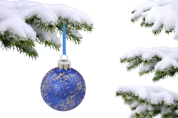 Різдвяна вічнозелена ялина та синя скляна куля — стокове фото