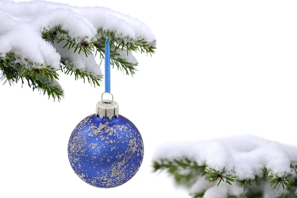 크리스마스에 버그 린 스프루 스 나무와 파란 유리 볼 — 스톡 사진