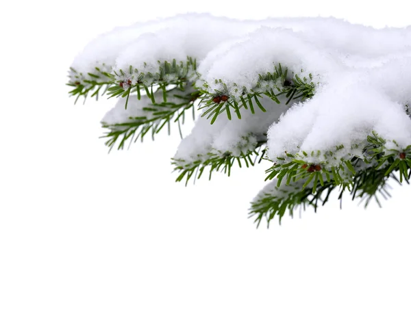 Christmas snowy background — Stock Photo, Image