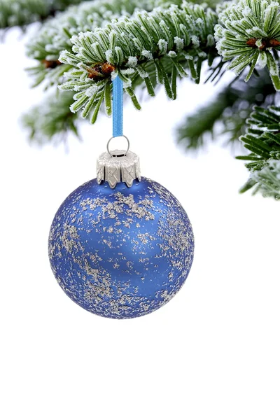Sapin d'épinette à feuilles persistantes de Noël et boule de verre bleue — Photo