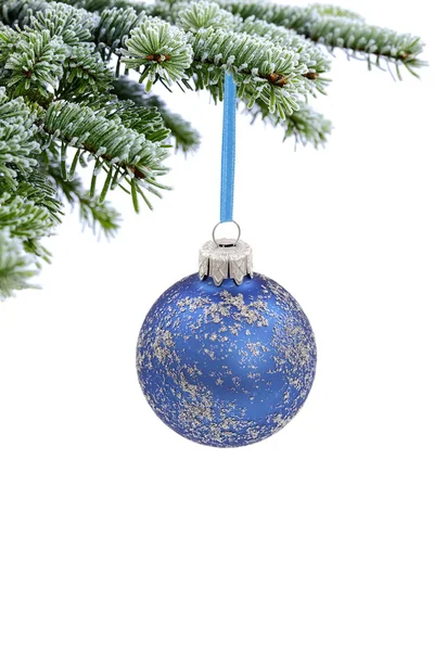 Christmas evergreen spruce tree and blue glass ball — Stock Photo, Image