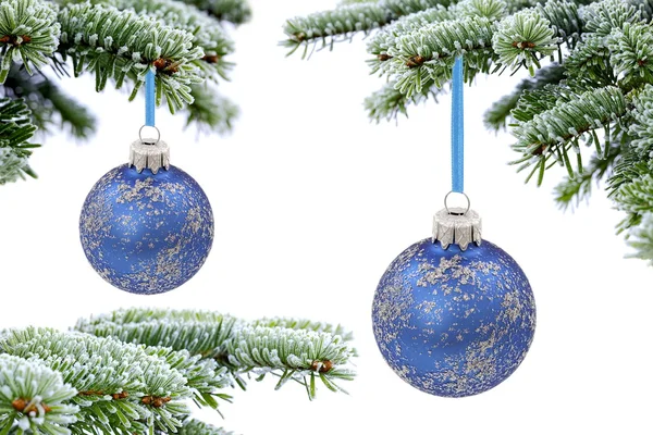 Sapin d'épinette à feuilles persistantes de Noël et boule de verre bleue — Photo