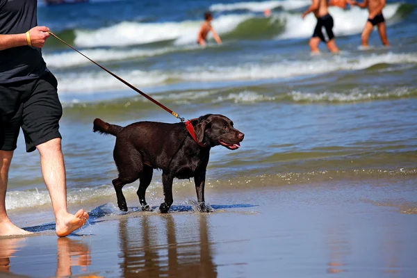 stock image Summer activity