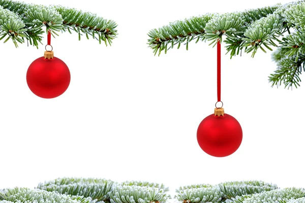 Boże Narodzenie drzewa wiecznie zielone i czerwone szkła piłkę — Zdjęcie stockowe