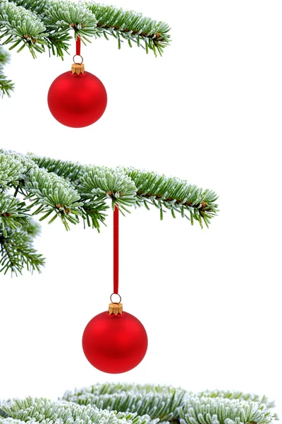 Kerstmis groenblijvende boom en rood glazen bal — Stockfoto