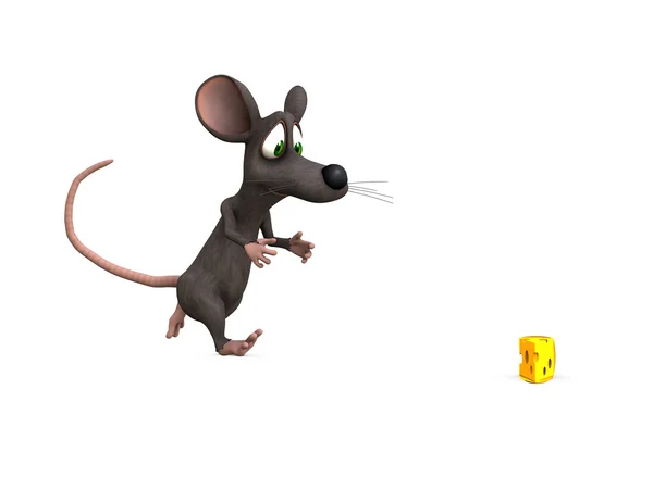 Myš chase — Stock fotografie