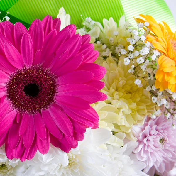 Strauß schöner Blumen — Stockfoto