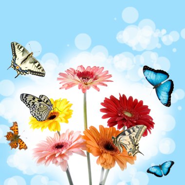 Tropical butterflies on a flowers clipart