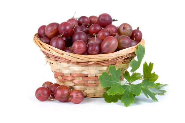 Fresh berries in a wicker basket — Stock Photo, Image