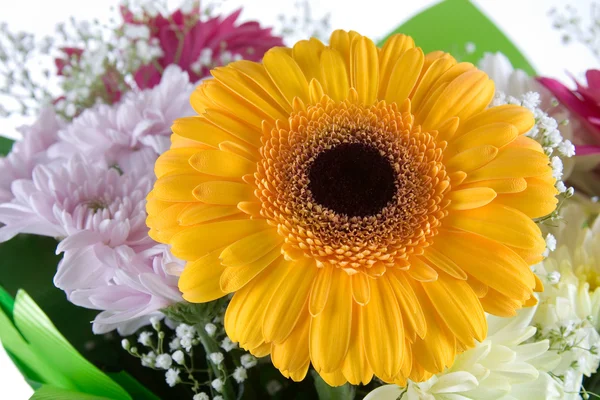 Bouquet di bellissimi fiori — Foto Stock