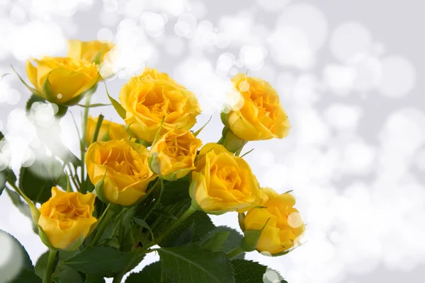 Mooie gele rozen en harten — Stockfoto