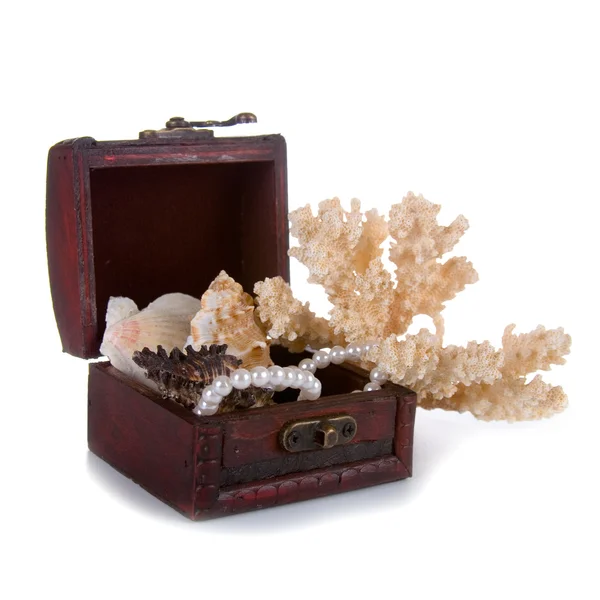 Brown chest with treasures — Stock Photo, Image