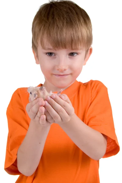Pojke med en hamster — Stockfoto