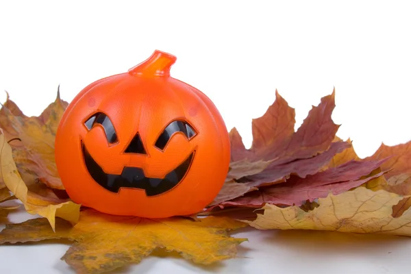 Halloween pumpki — Stockfoto