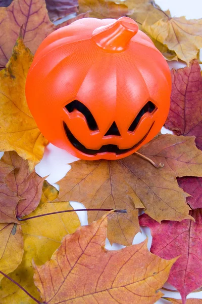 Halloween tök ágyú! — Stock Fotó