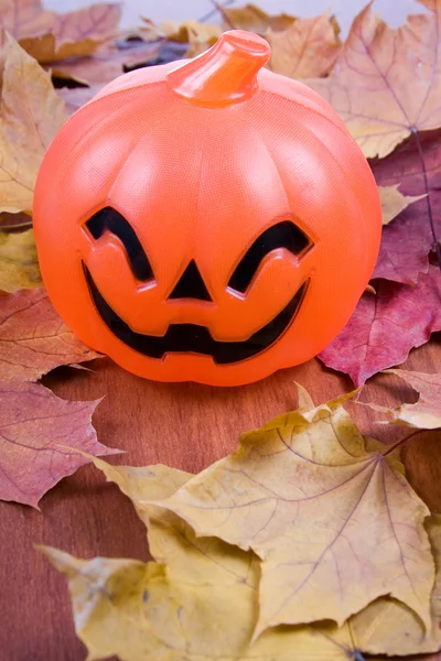 Halloween pumpki — Stock fotografie