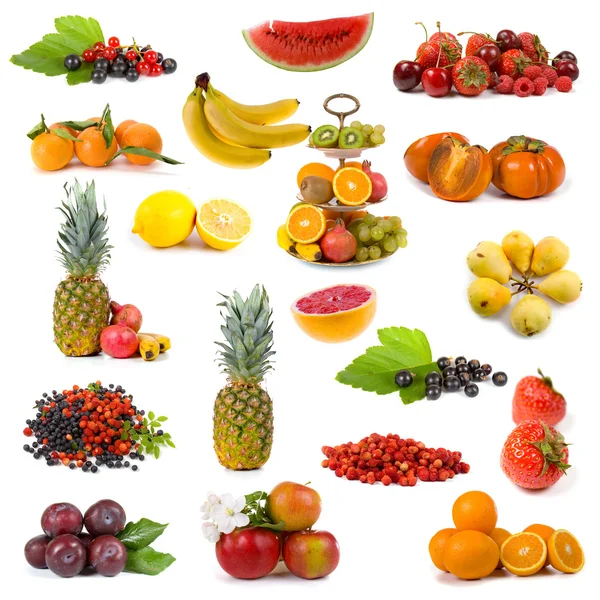 Большая коллекция фруктов — стоковое фото