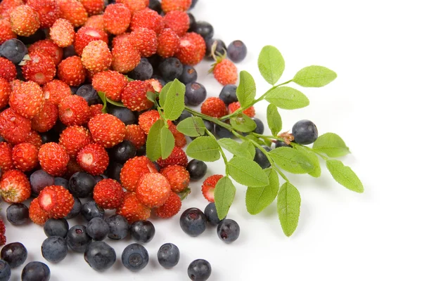 stock image Wild strawberries and blueberries