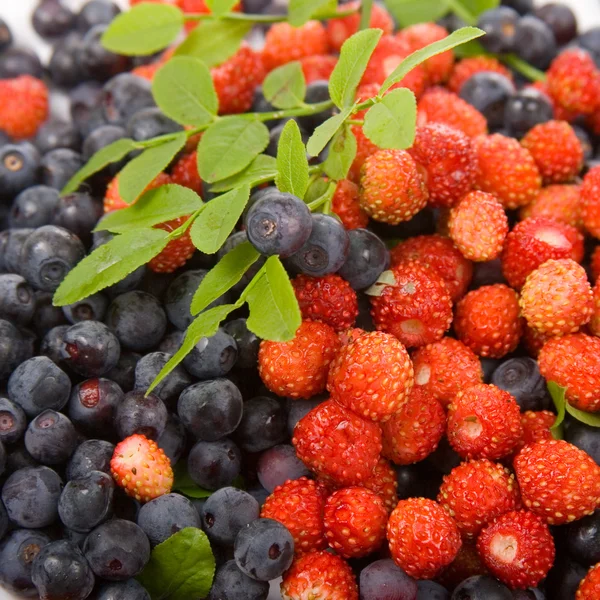 Stock image Wild strawberries and blueberries