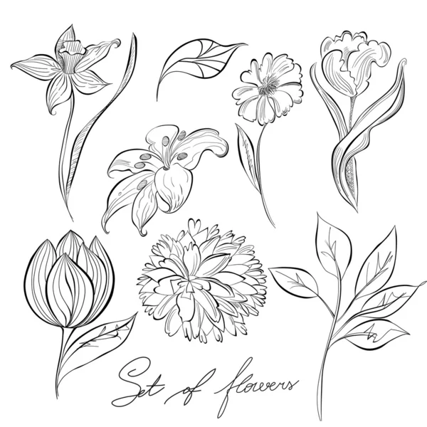 Skizze von Blumen — Stockvektor