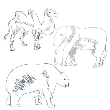 Sketch with animal clipart