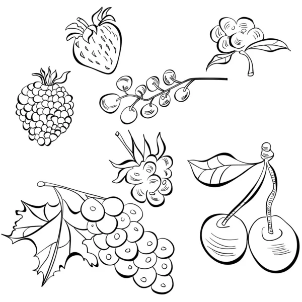 과일의 스케치 — 스톡 벡터