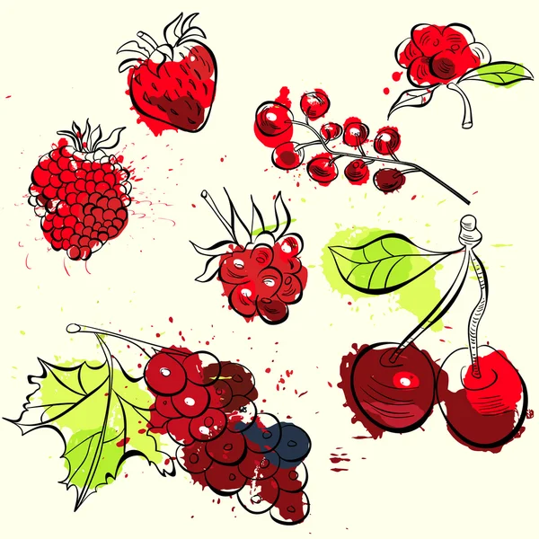 Ilustrasi buah dan beri yang bergaya - Stok Vektor