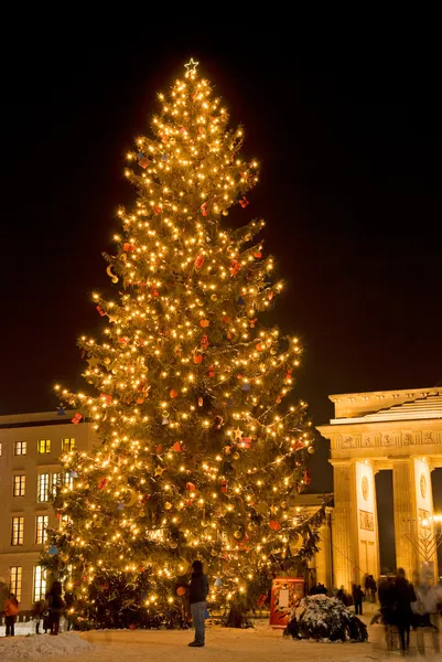 Árbol de Navidad brandenburger tor — Foto de Stock